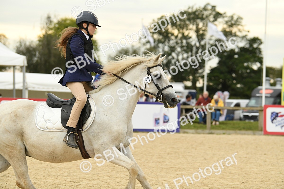 SBM_73163 - J16 - Junior Pony 75cm Championship
