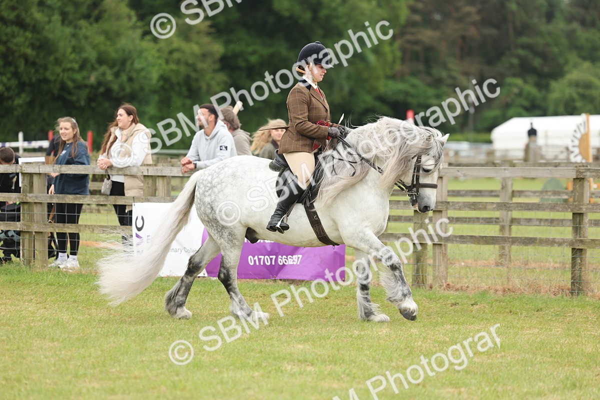 SBM_09059 - Class 78-80 - Ridden M&M Non Welsh Ponies