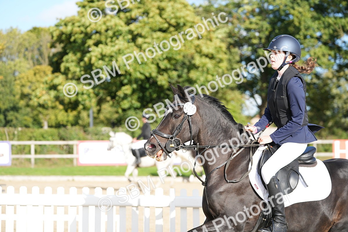 SBM_51100 - J8 - Junior Pony 65cm Championship