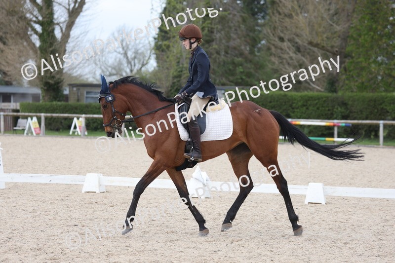 20260404-0990 - Class 6 - Novice 3