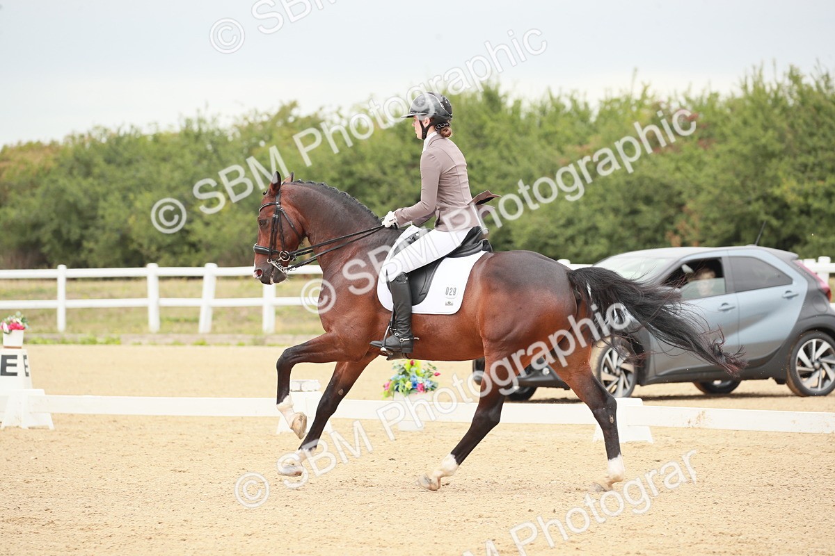 SBM_005185 - Class 4 - Medium 6 - 13.28-14.16