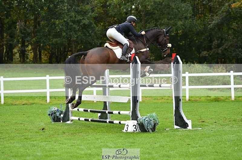 231021-111502-16035 - 012-ROMANY.CRICKET-Nana.Dalton-SJ