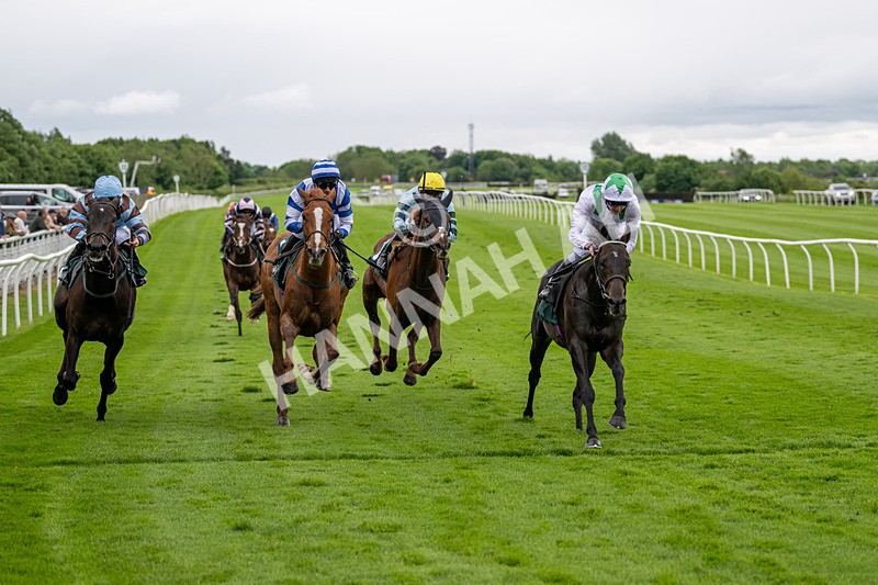 230524-Race 3-See The Green-1590 - Race 3