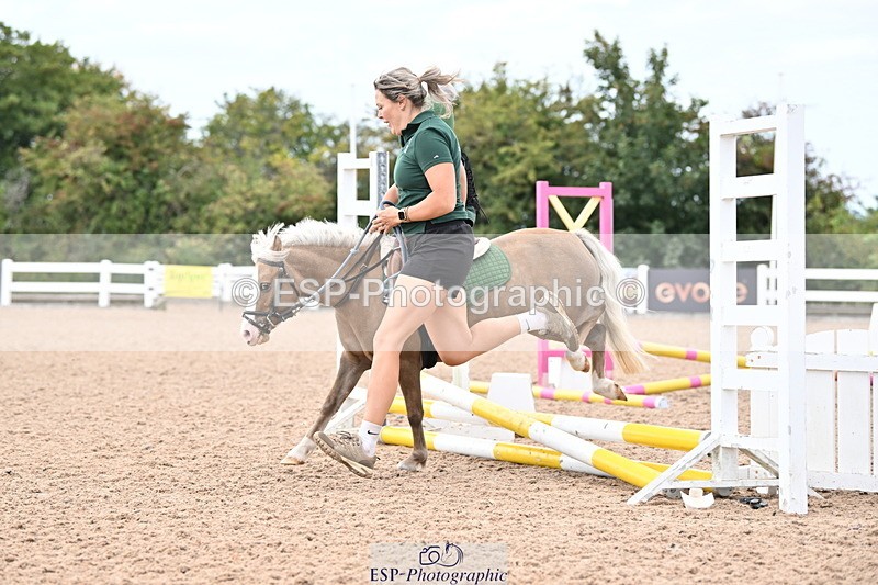 250821B-121127-00335 - Group D - Thomasina