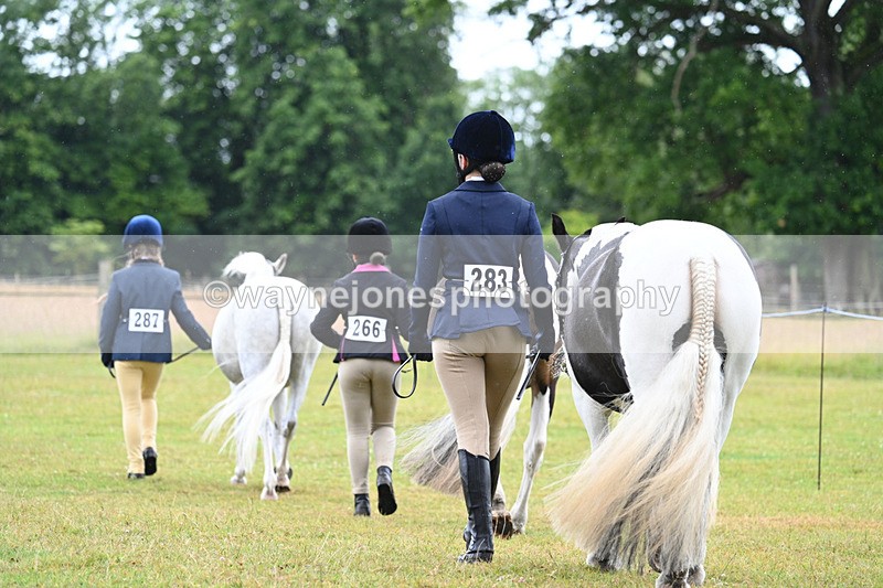 WJ7_5865 - Class 4 Prettiest Mare in Hand