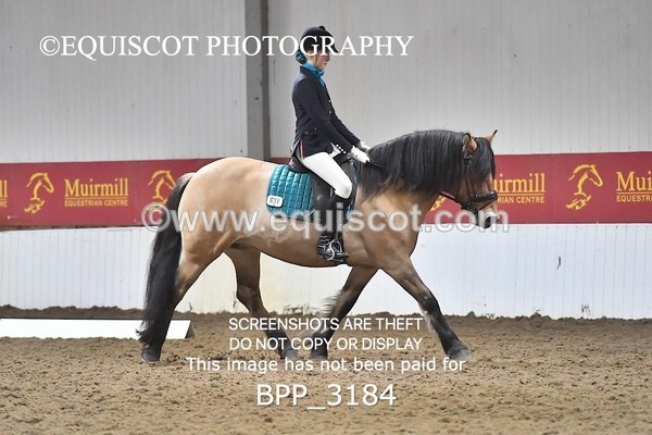 BPP_3184 - INTRO TEST 3