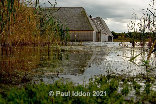 Brockholes 06 - Landscapes