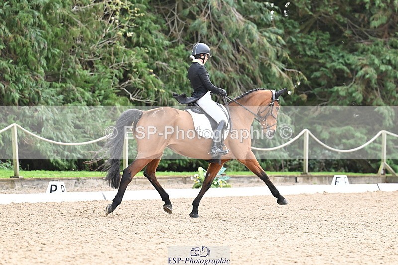 251023A-111442-01185 - C-227-Tarka.Abraham