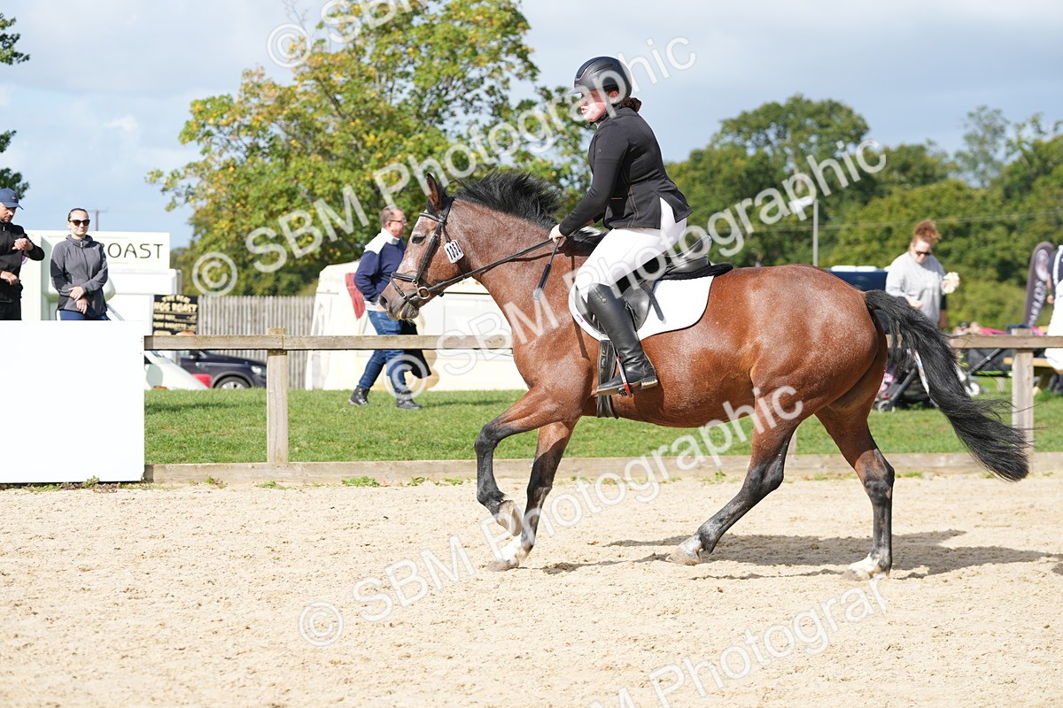 SBM_17772 - J58 - Clear Round 50cm