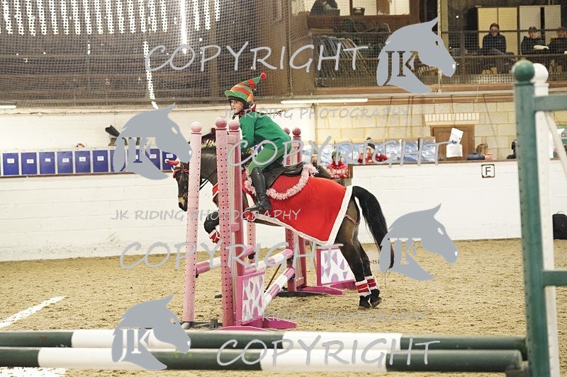 _DSC3290 - 50cm/60cm Pairs