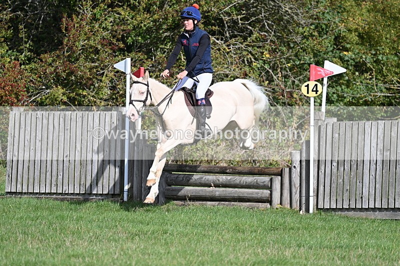 WJ7_8487 - 60cm Pairs