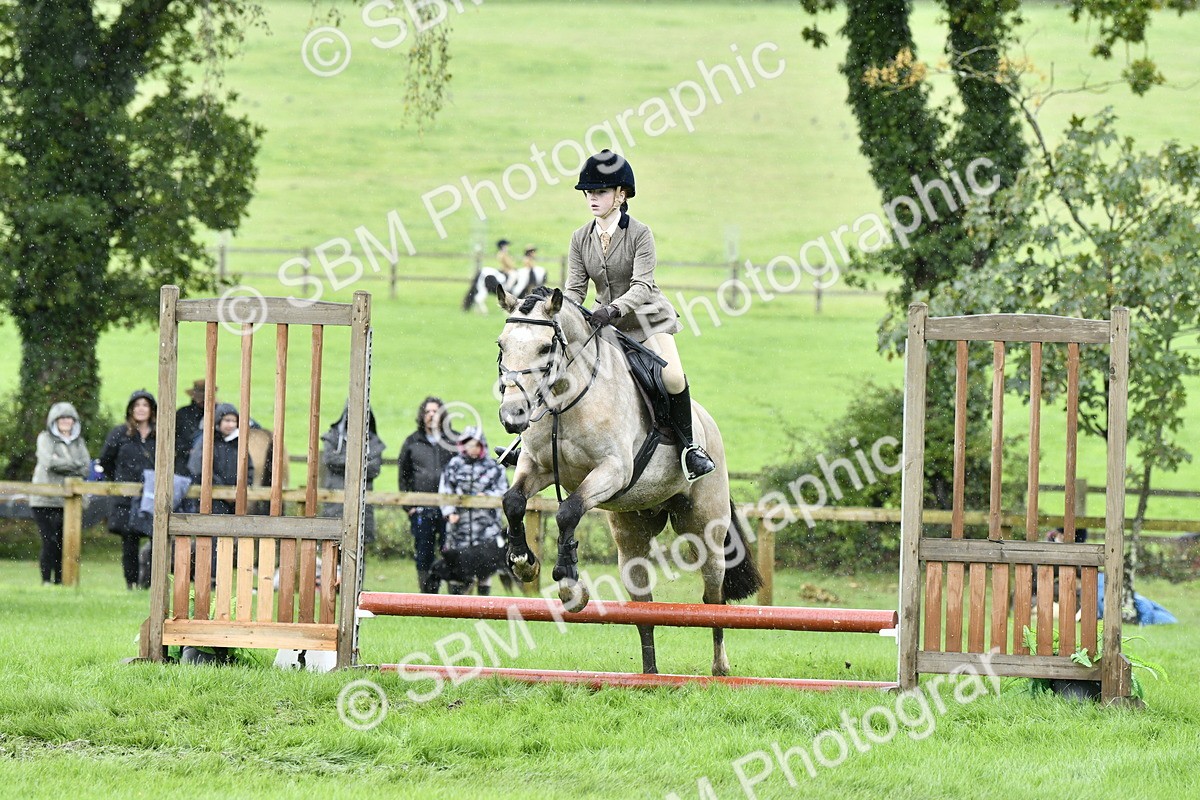 SBM_41434 - S32 - Mountain & Moorland Working Hunter Pony