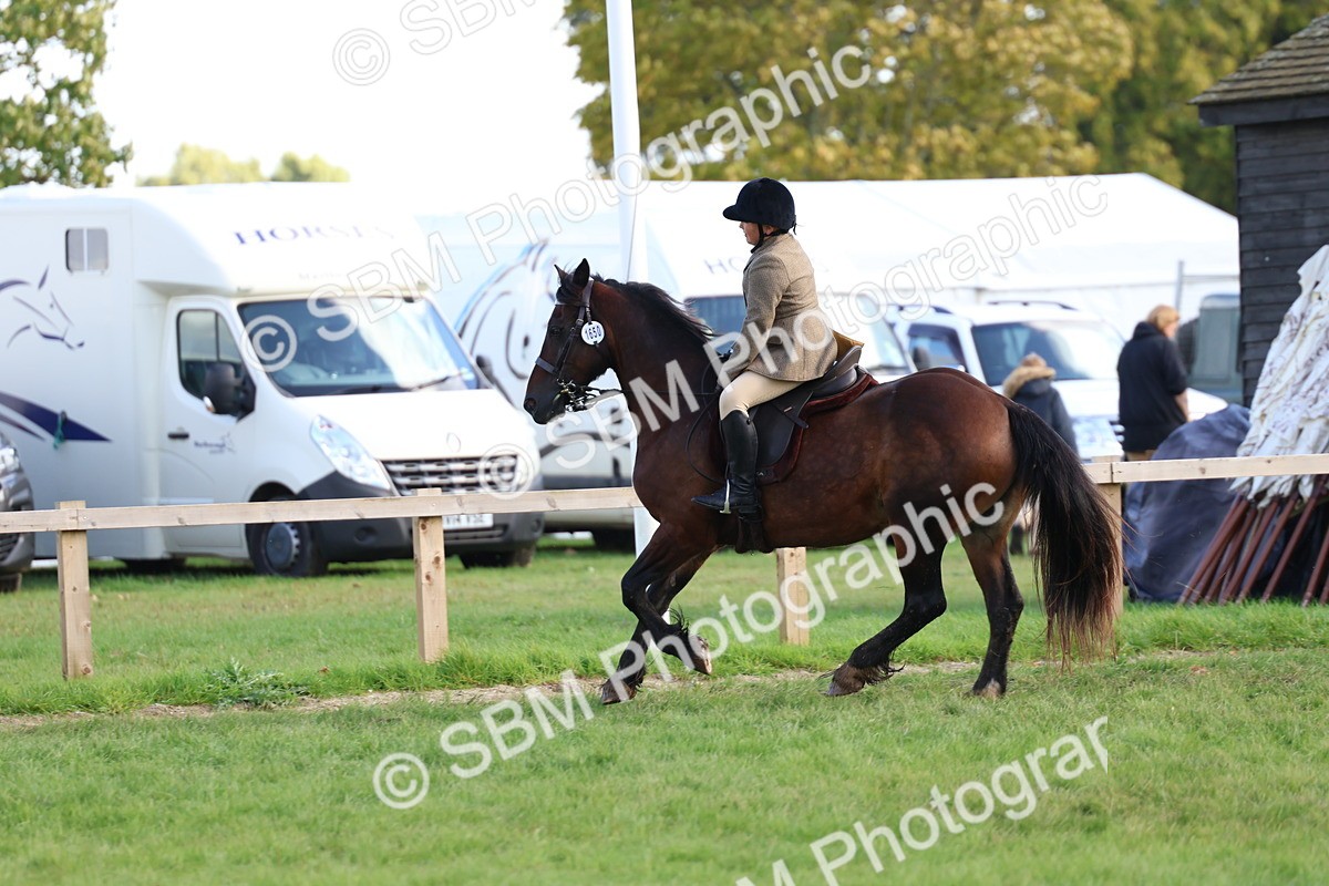 SBM_47766 - S28 - Veteran Ridden