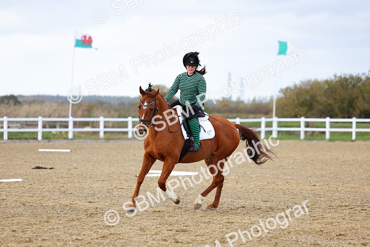 SBM_002611 - Class 8-11 - Novice 1-E1