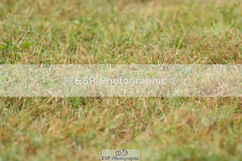 240824X-092031-22050 - D70 Section C and D 8.30 to 9.30