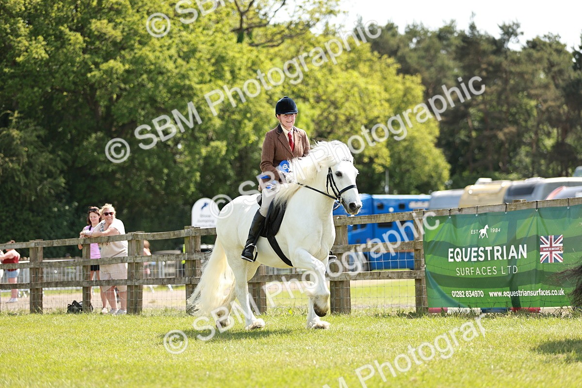 SBM_07226 - Class 26-30 - Mountain and Moorland Ridden