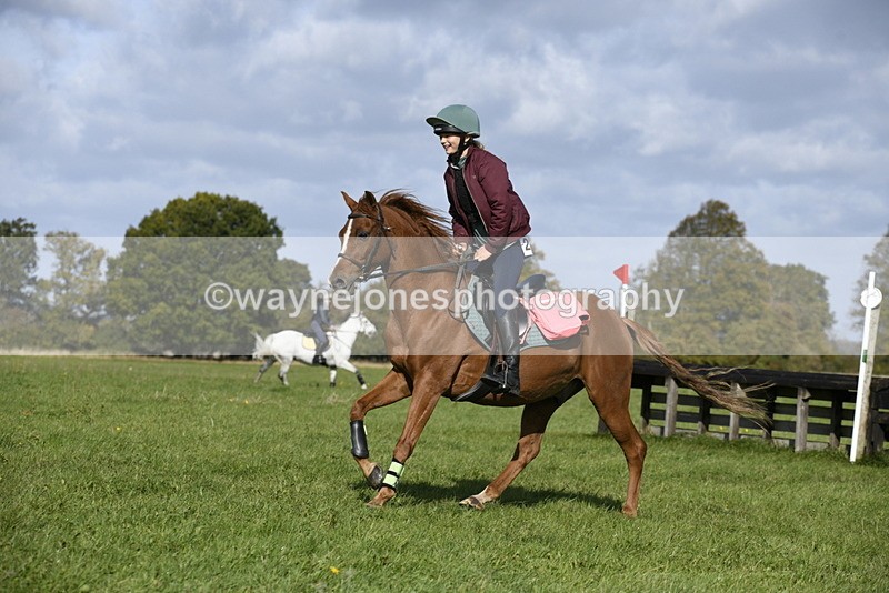 _DSC6613 - Time 11:23 to 12:05