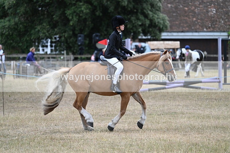 WJ7_7181 - Class 2 Best Rider