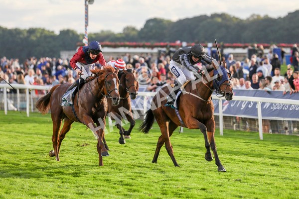 230923-Race 7-Two Brothers-5491 - Race 7 5.30pm Neil Atkinson's 60th Birthday Celebration Handicap