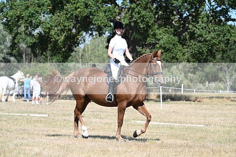 WJ7_9977 - Time 11:03 to 11:28