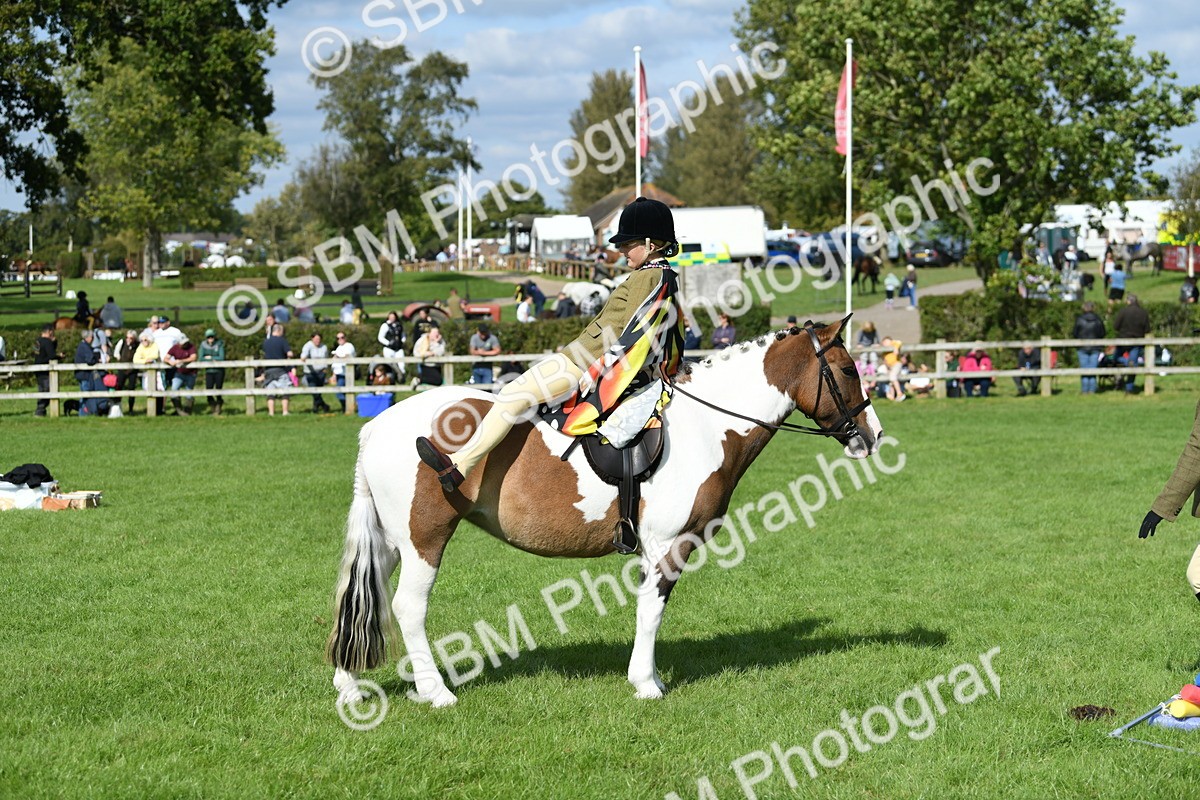 SBM_47129 - S12 - Family Horse & Pony