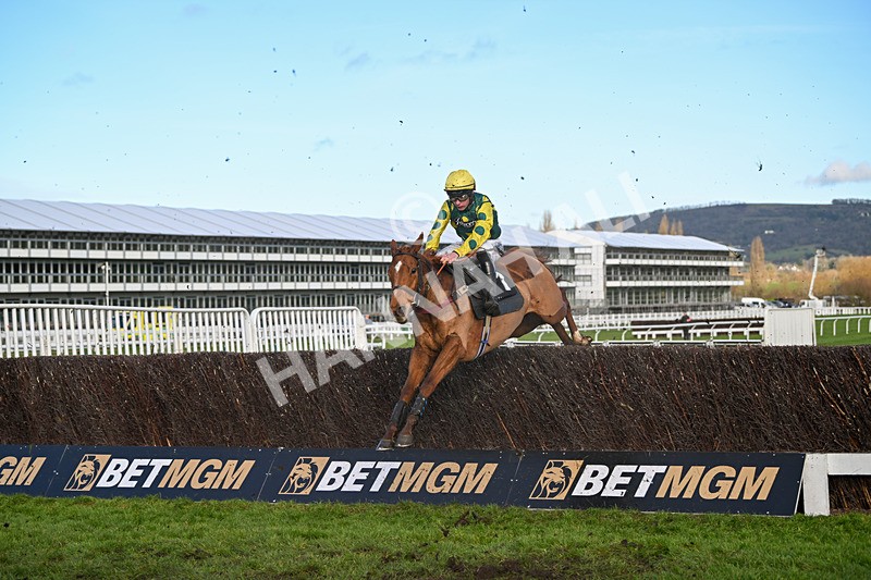 141224-Race 3-Eximia-1671 - Race 3