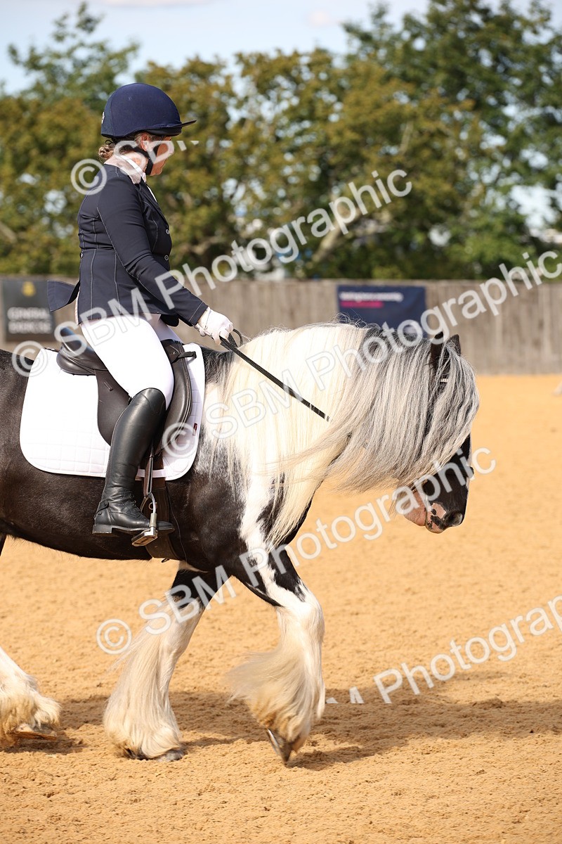 SBM_21771 - D5 - Small Tour Championship - Intro C