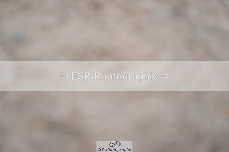 250308-133046-02201 - Cls 10 Pony Foxhunter and 1.10m