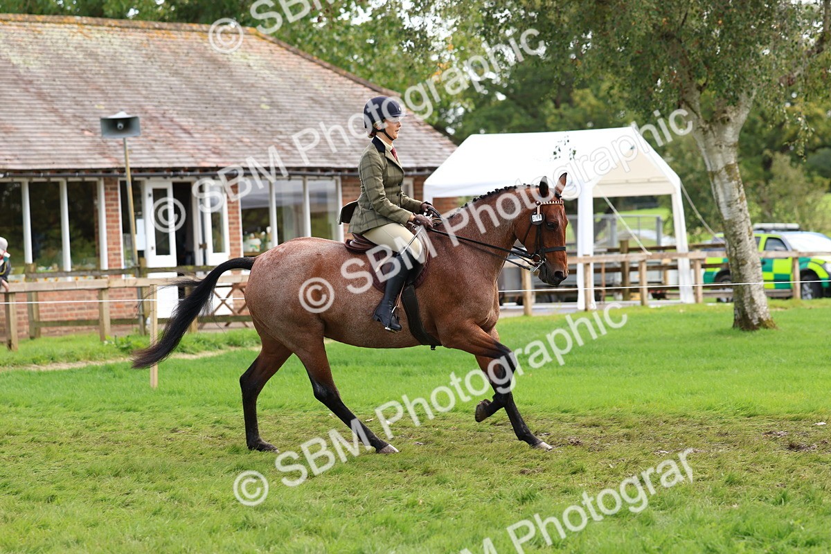 SBM_45214 - S27 - Young Veteran Ridden