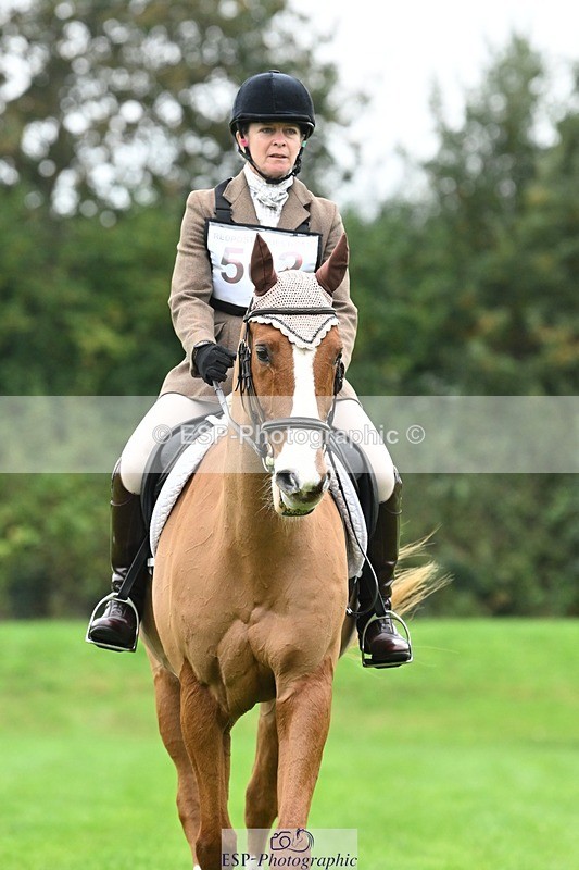 241024-105548-03094 - 502-Alison.Stewart-RICO.III