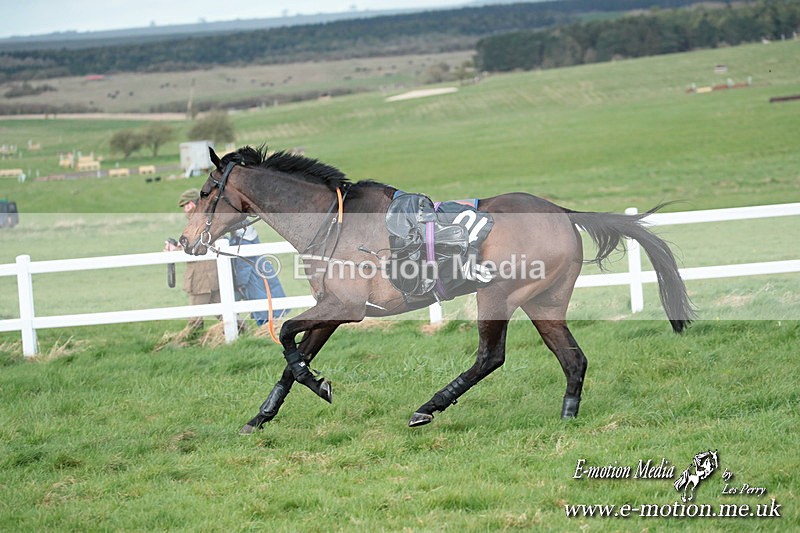 PtP 230324 910 - Tedworth Hunt PtP Larkhill Raccourse 23rd March 2024