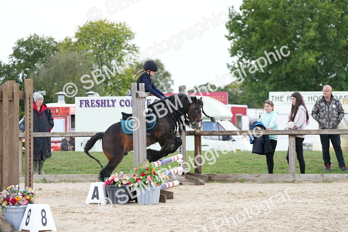 SBM_39638 - J6 - Junior Pony 55cm Championship
