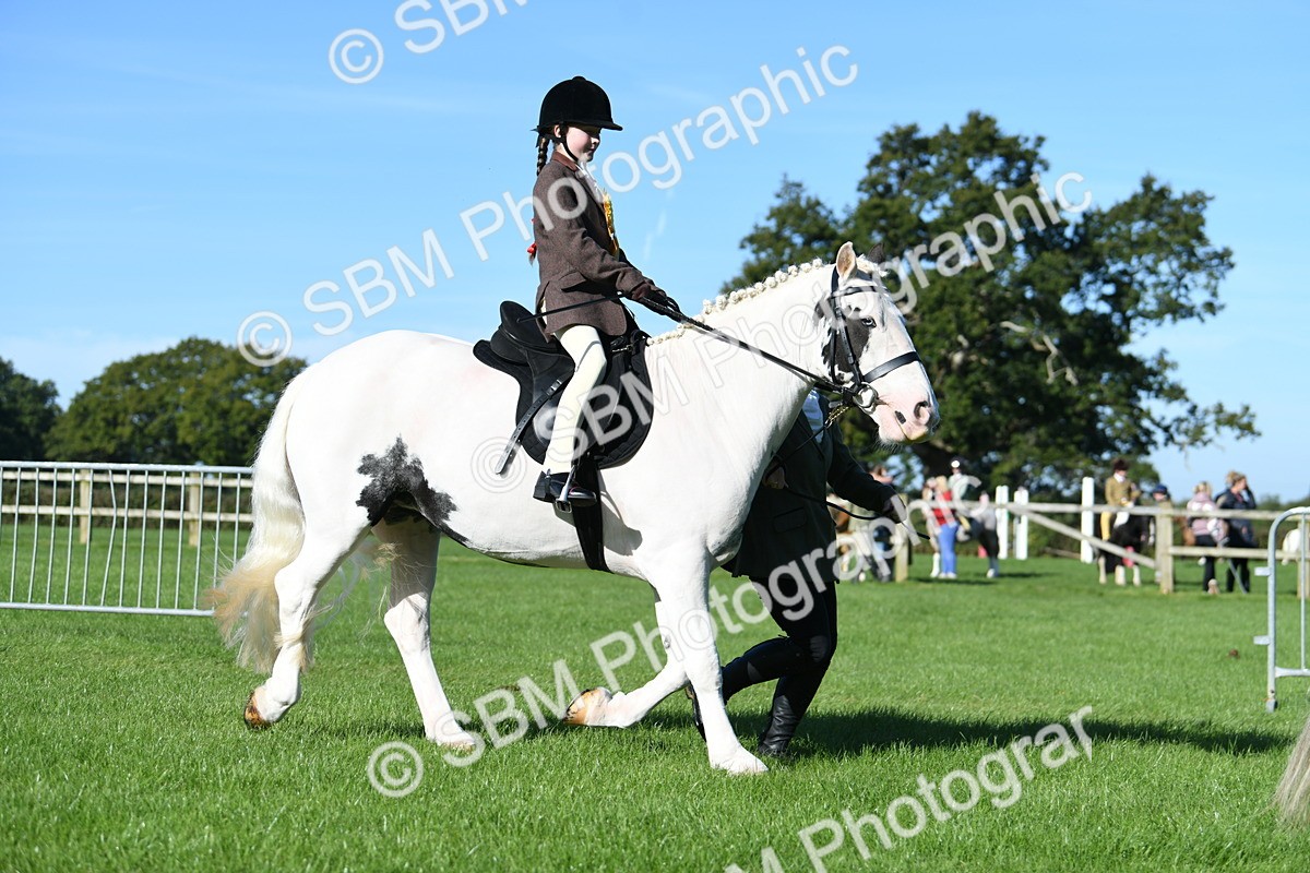 SBM_35518 - S17 - Condition & Turnout - Lead Rein