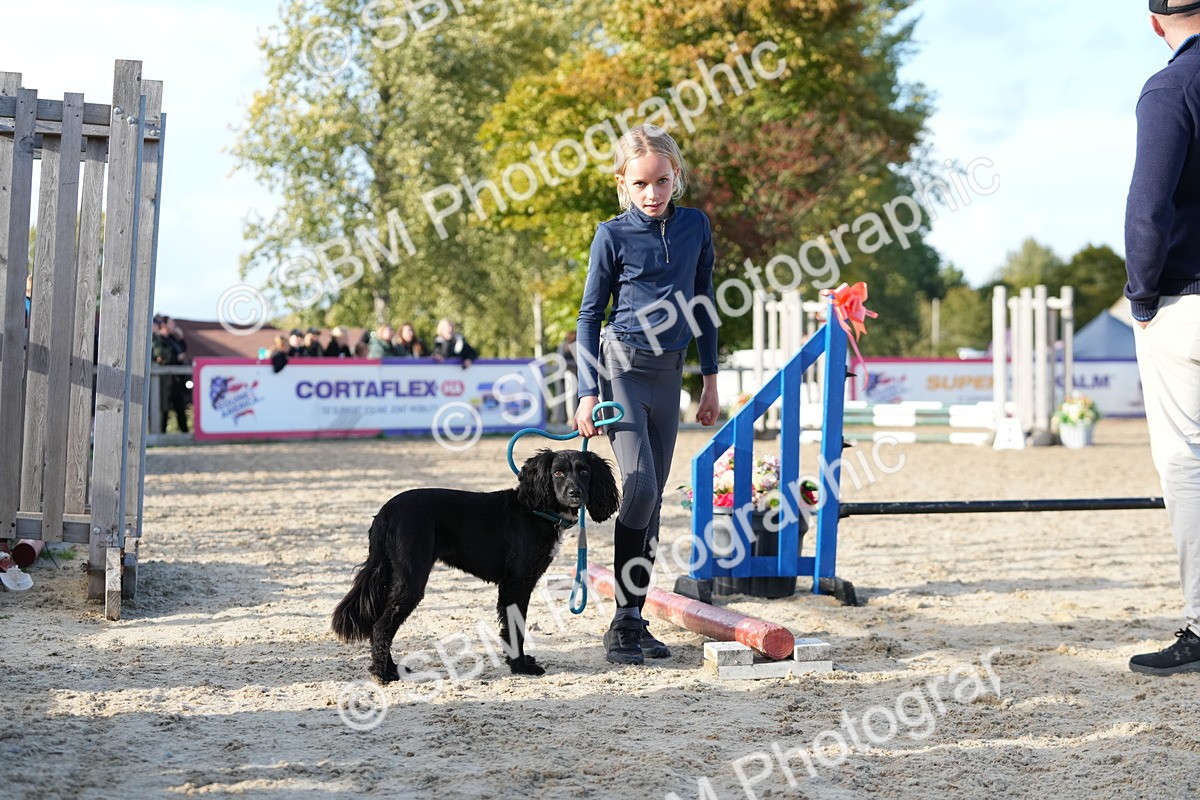 SBM_29114 - J43 - Horse & Hound Open 50cm