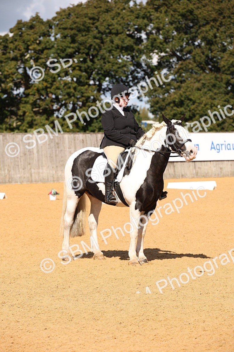 SBM_04335 - D2 Small Tour Championship Intro C