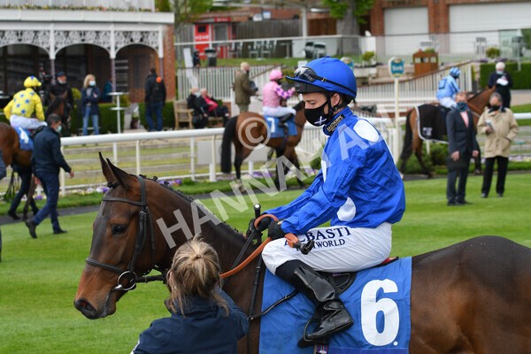 yr14052021r7-9 - Race 7 4.50pm Irish Thoroughbred Marketing Stakes