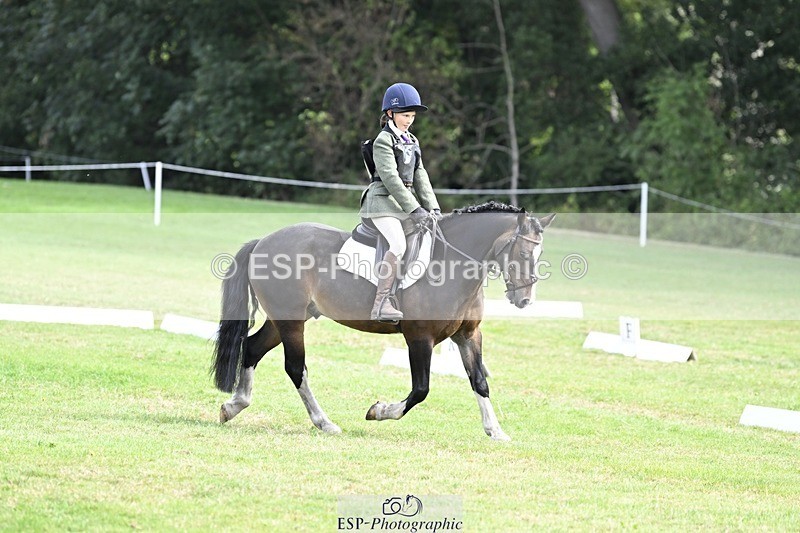 250821A-103745-14445 - DR 10.00 to 11.00