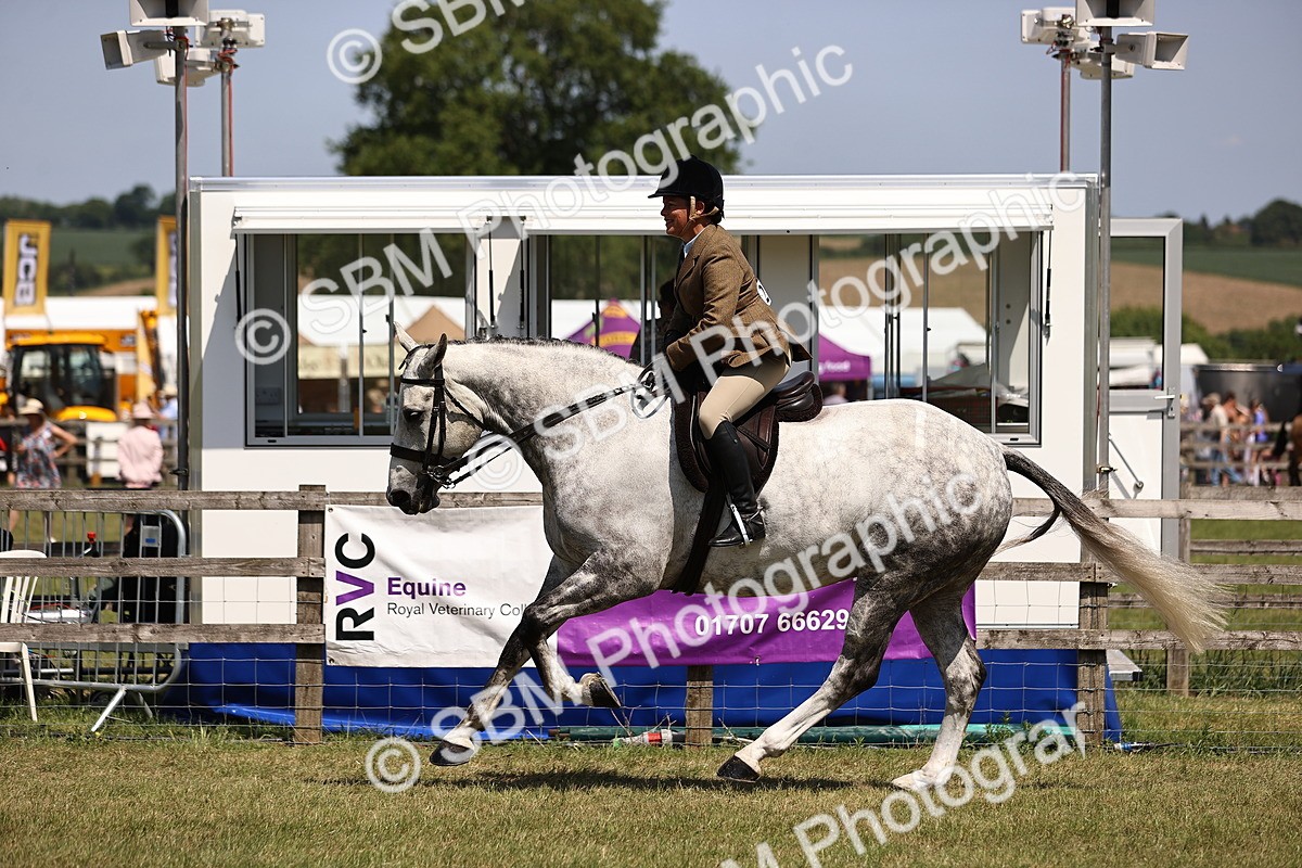 SBM_17737 - Class 81-83 - TSR Ridden Amateur of the Year - Horses
