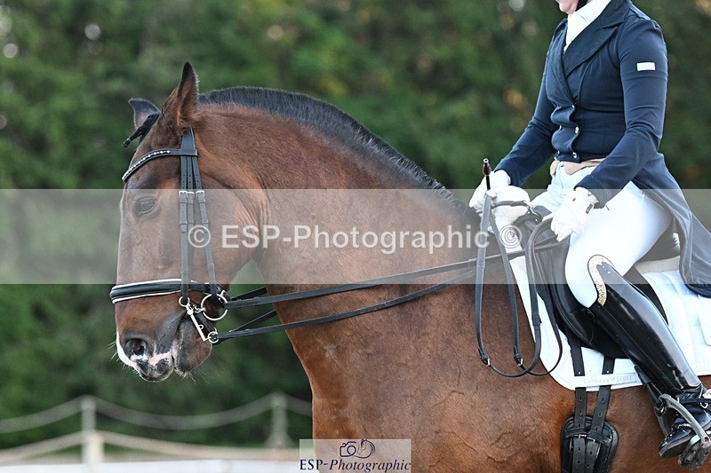 231110-155426-02373 - Cls 11 FEI PSG