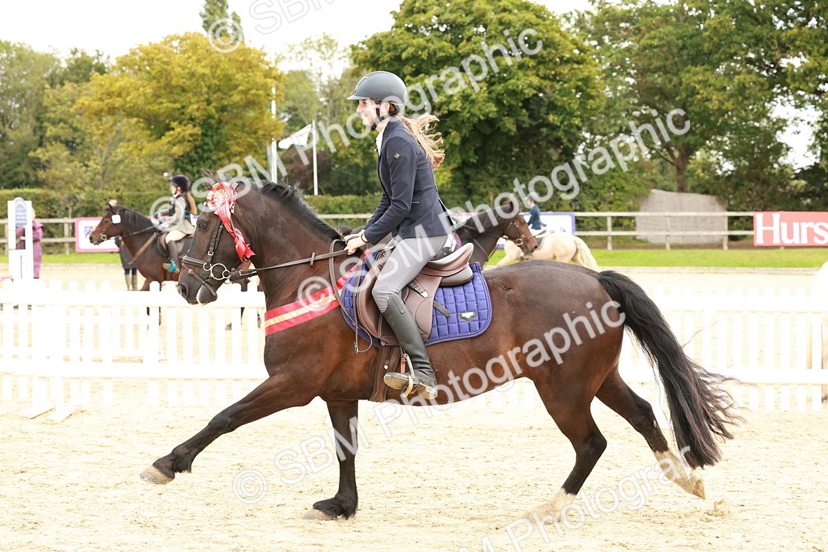 SBM_65350 - Supreme Championship 50cm & 55cm