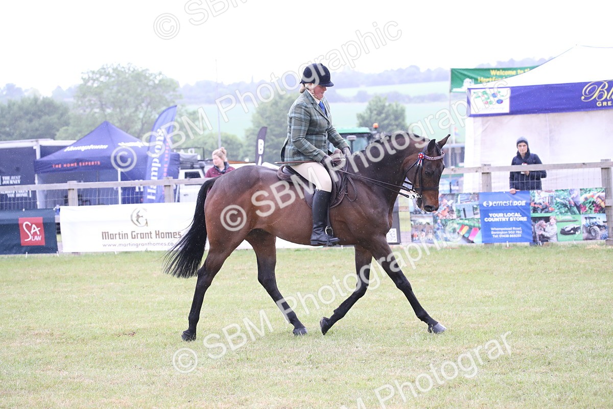 SBM_11444 - Class 94 - LIHS BSHA Racehorse to Showhorse