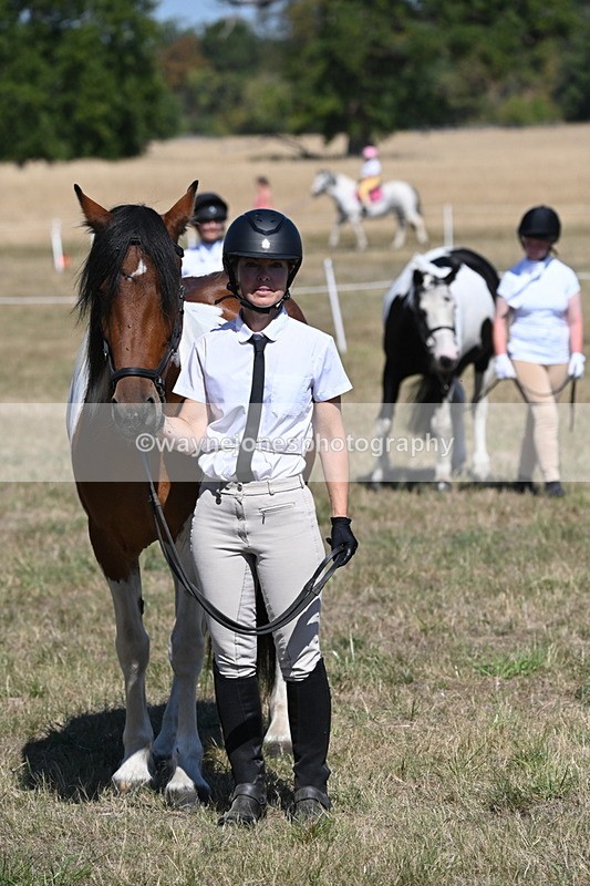 WJ6_8702 - Class 37b Best Loan Pony In-hand