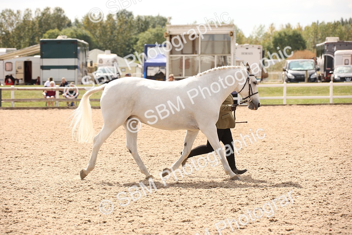 SBM_04629 - Class 20 IH Veteran