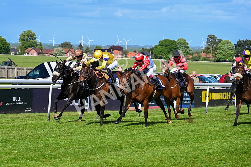 120526-Race 4-Dandy Dinmont-8271 - Race 4 4.00pm Annie Oxtoby Memorial Handicap
