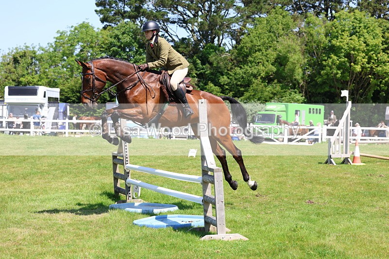 3E7A7087 - Class 30: Novice Working Hunter