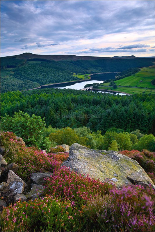 Ladybower Summer - Peak District | Dark Peak