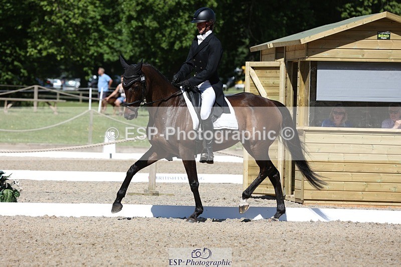 230526-102432-05252 - 361-FINCH_FANCY-Ben_Lee_Liles-WEDTrotUp+DR