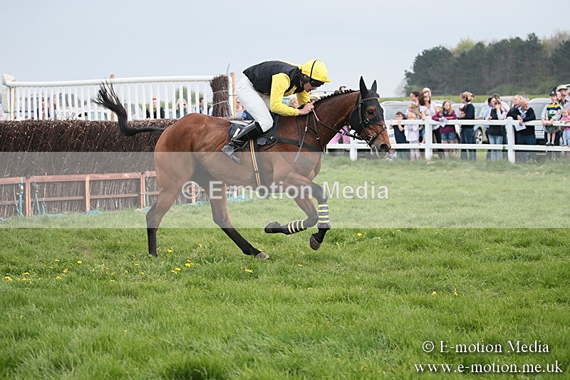 PtP 210418 396 - South & West Wilts Point-to-Point Larkhill 21/04/18