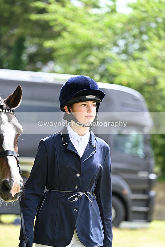 WJ7_6909 - Class 5a Most Handsome Gelding in Hand
