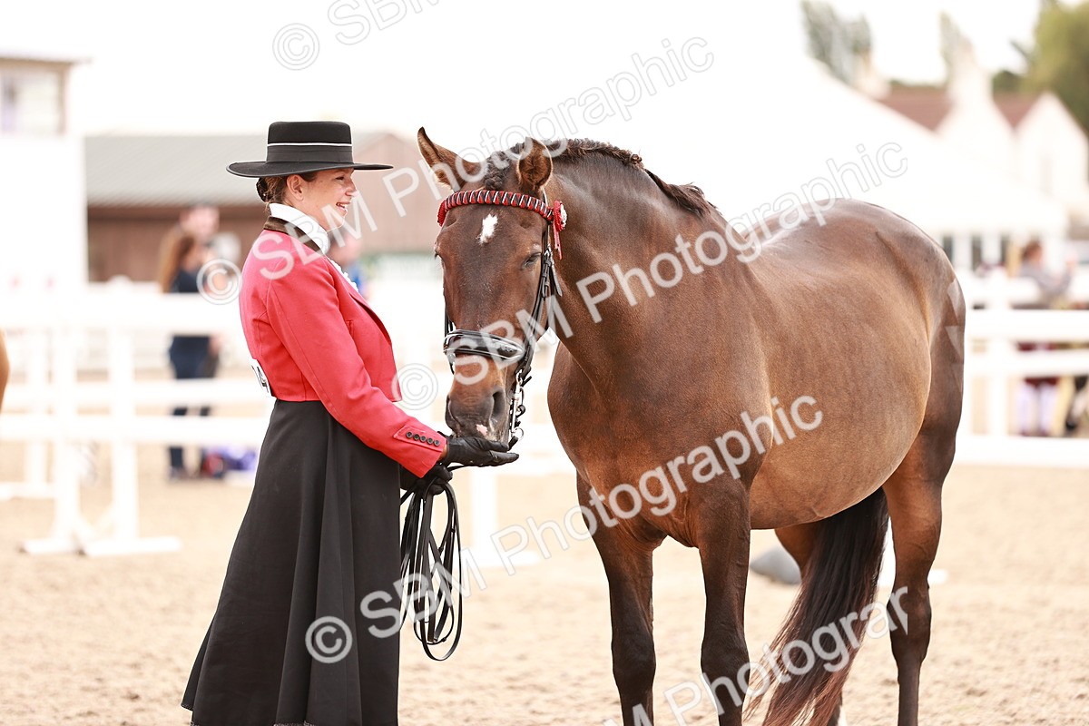 SBM_16923 - Class 415 - Horse-Pony Judge would most like to take home